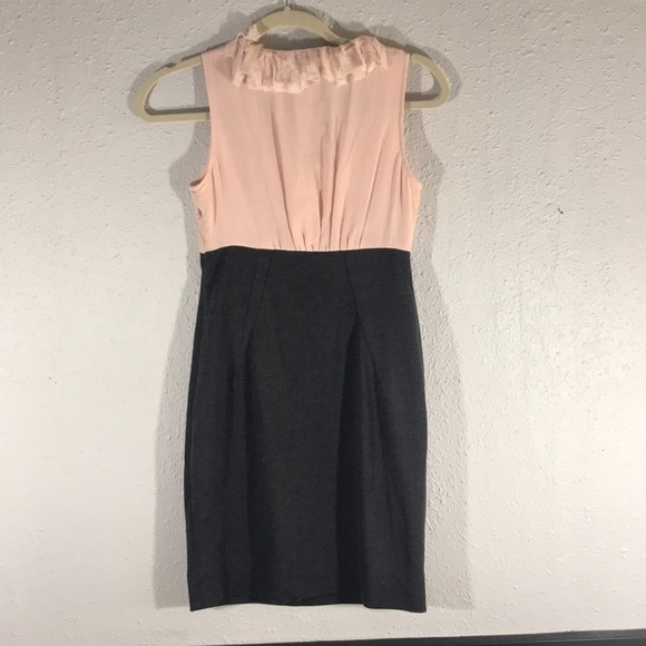 Taylor Petite Pink Silk Frayed Ruffle Neck Sleeveless Dress size 2P - Picture 2 of 7